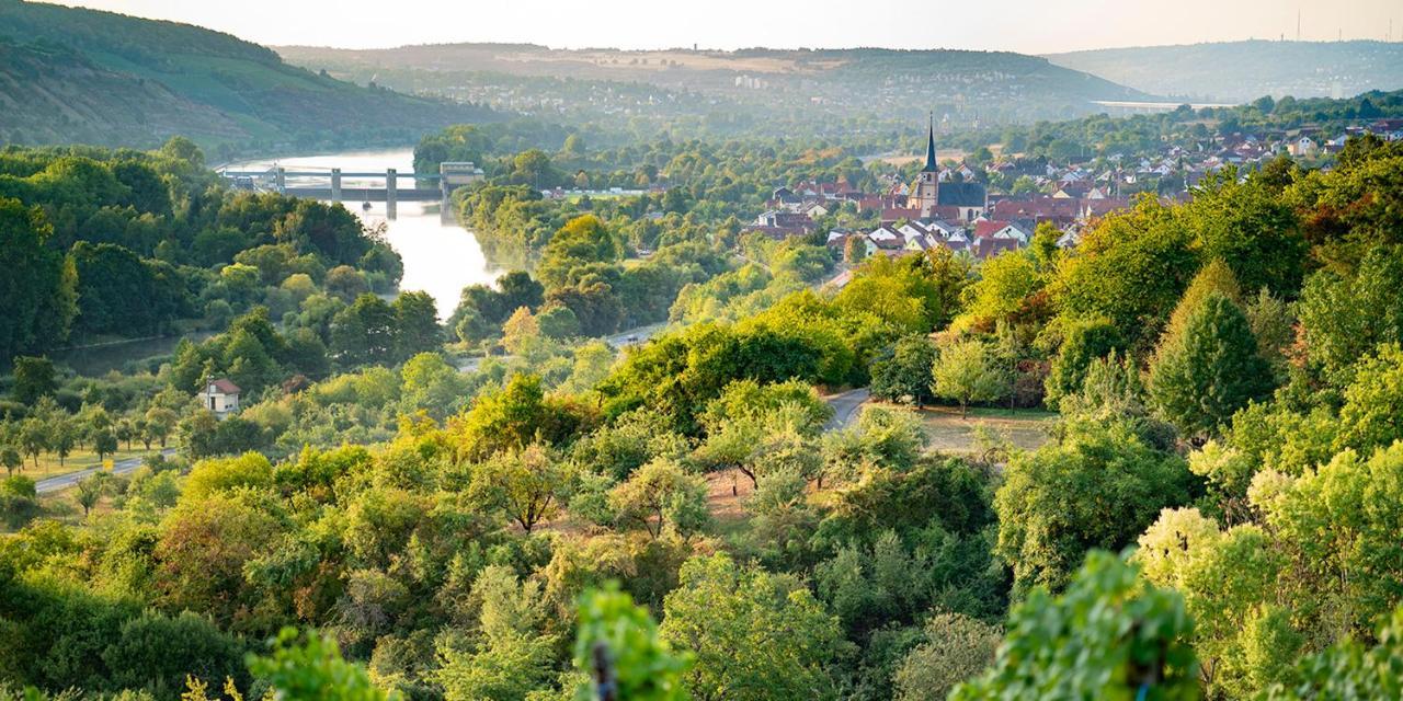 Weingut Martin Blass Hotel Erlabrunn  Екстериор снимка